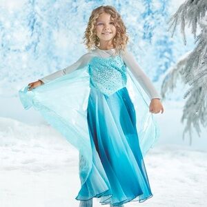 Disney Parks Frozen Elsa 10th Anniversary Deluxe Costume For Kids